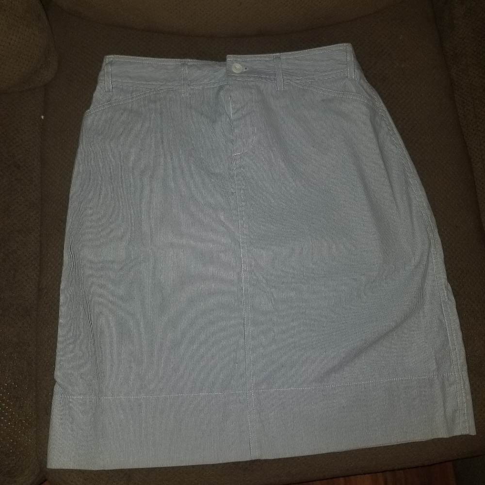 Blue and White skirt